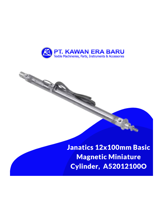 Direct Acting Basic Magnetic Cylinder 12 x 100